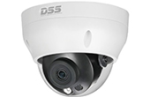 Camera IP Dome hồng ngoại 4.0 Megapixel DAHUA DS2431RDIP-S2