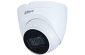 Camera IP Dome hồng ngoại 4.0 Megapixel DAHUA IPC-HDW2531TP-AS-S2