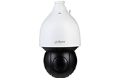 Camera IP Speed Dome hồng ngoại 2.0 Megapixel DAHUA DH-SD5A225XA-HNR