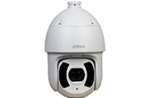 Camera IP Speed Dome hồng ngoại 2.0 Megapixel DAHUA SD6CE225U-HNI