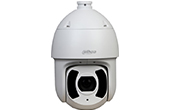 Camera IP Speed Dome hồng ngoại 2.0 Megapixel DAHUA SD6CE230U-HNI